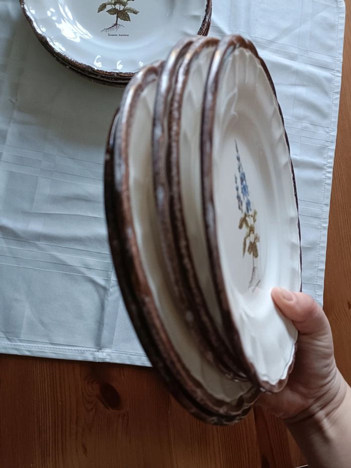 Lot de 8 assiettes vinteges herbes aromatiques - photo numéro 12