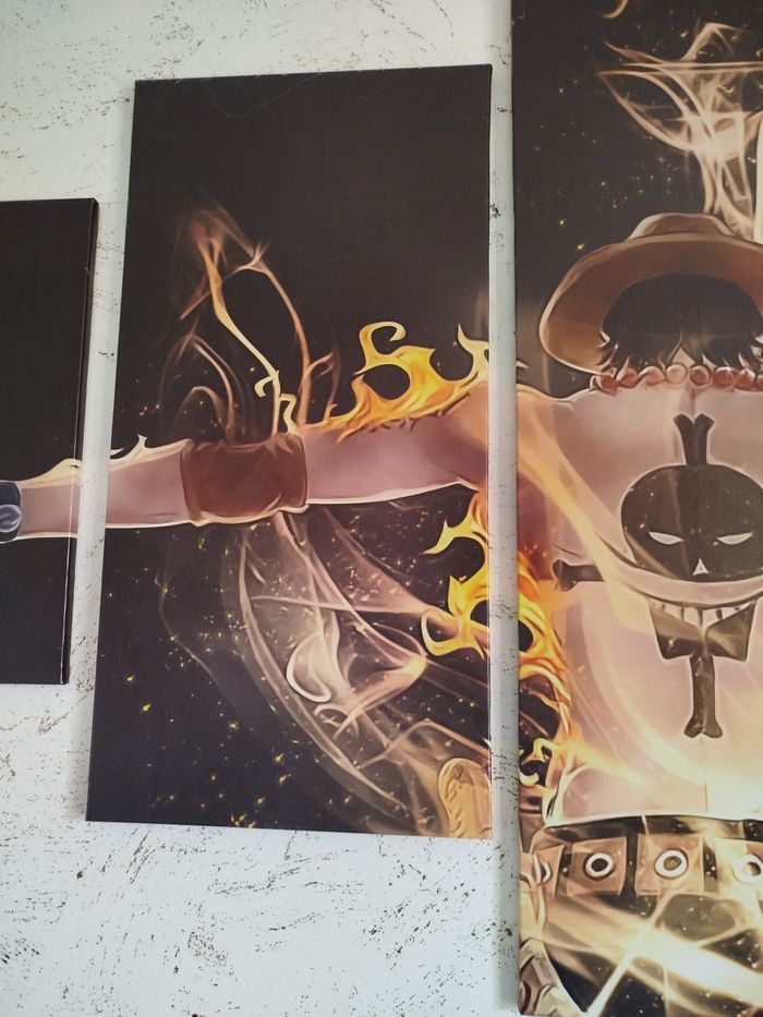 Cadres ACE ONE PIECE - photo numéro 3