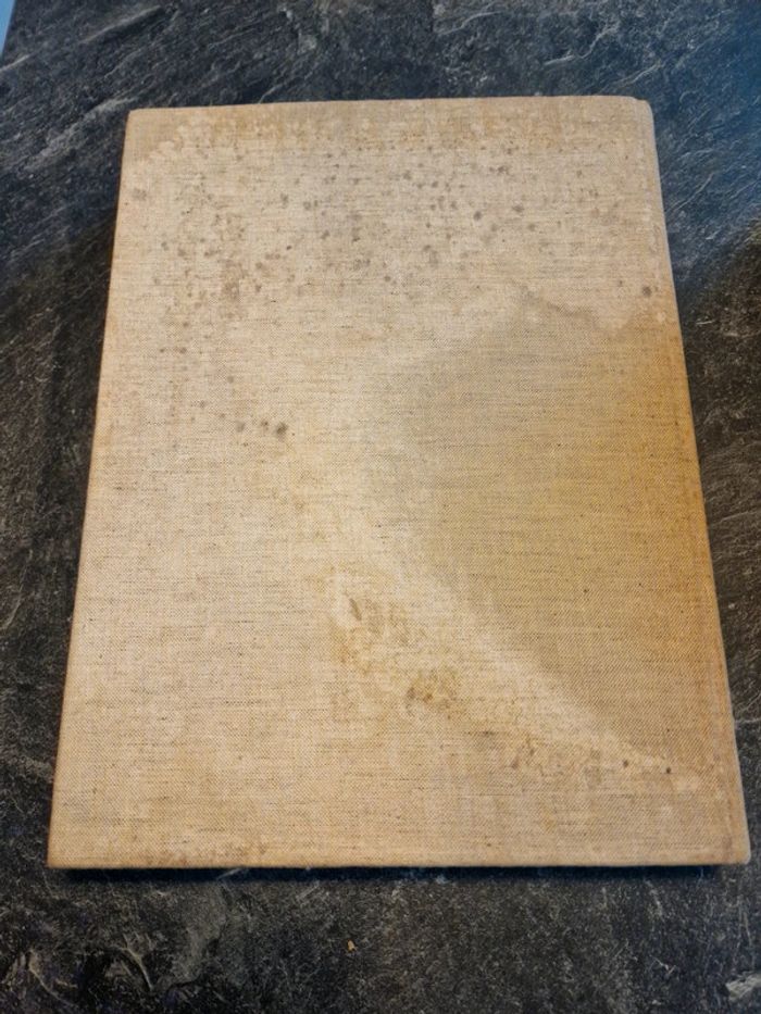 Aux portes de l'histoire - photo numéro 8