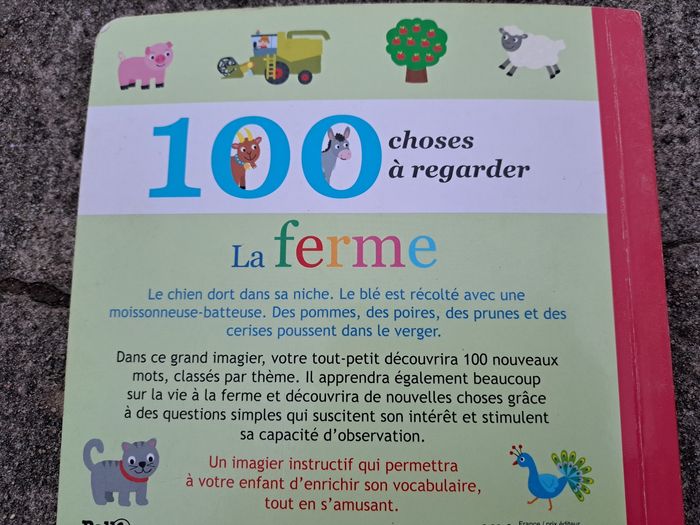 Livre 100 choses à regarder - photo numéro 2