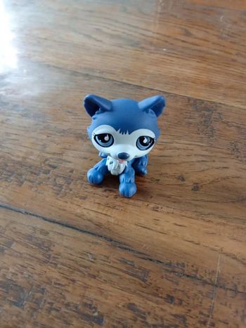 Petshop husky