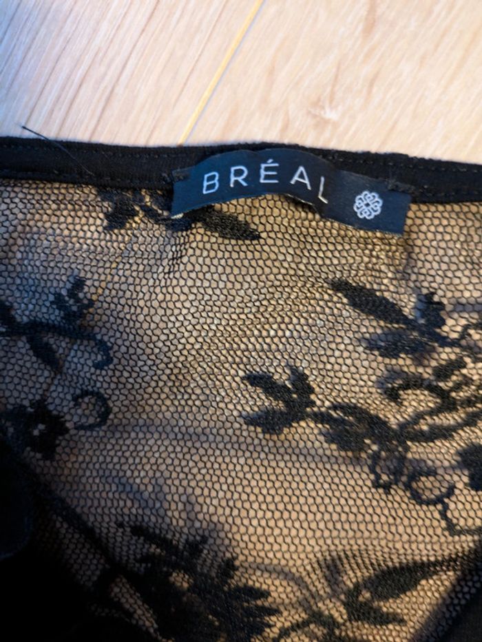 Haut breal 36 - photo numéro 2