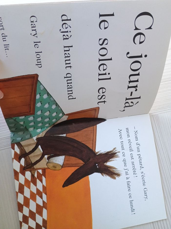 Livre le loup gary - photo numéro 2