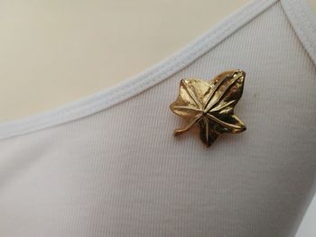 Ancien bijoux 2 en 1 représentant une feuille