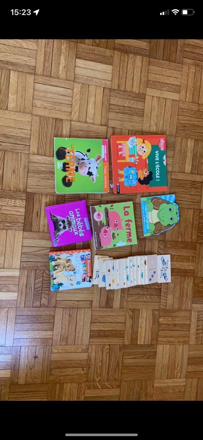 Lot livre et dominos - photo numéro 4