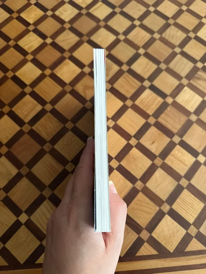 Livre Les Vacances du Petit Nicolas - photo numéro 3