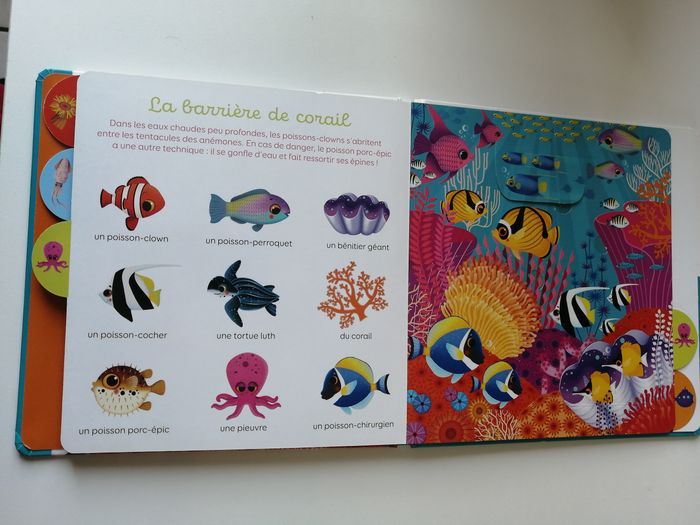 mon imagier à flaps - livre enfant - photo numéro 6