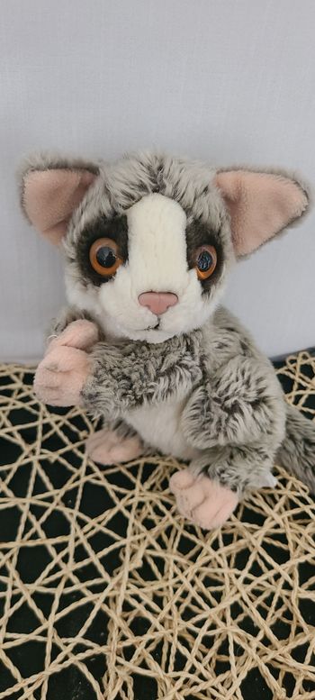 Anima - Peluche de Collection Galago
