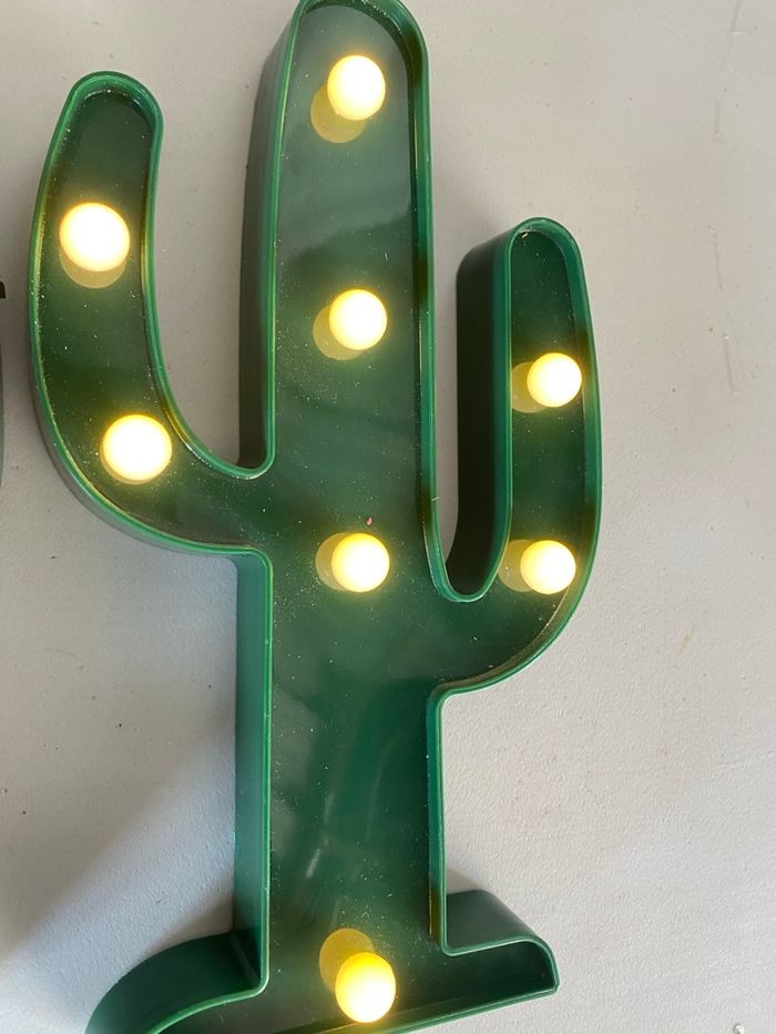 Cactus - photo numéro 2