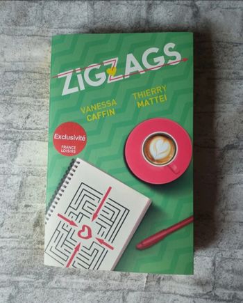 Livre " Zigzags " de Vanessa Caffin & Thierry Mattei 🌻🌾