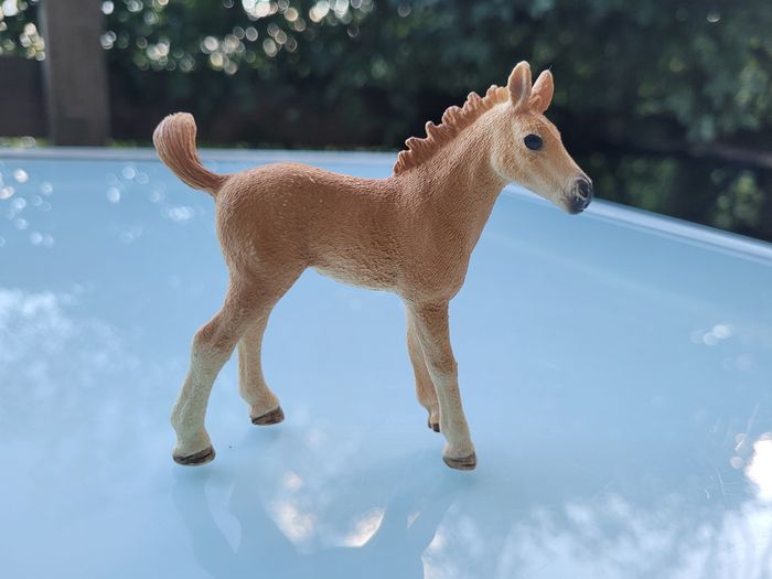 Lot de 3 Poulains Scheich : un beige, 1 brige et noir et 1 marron et blanc - photo numéro 8