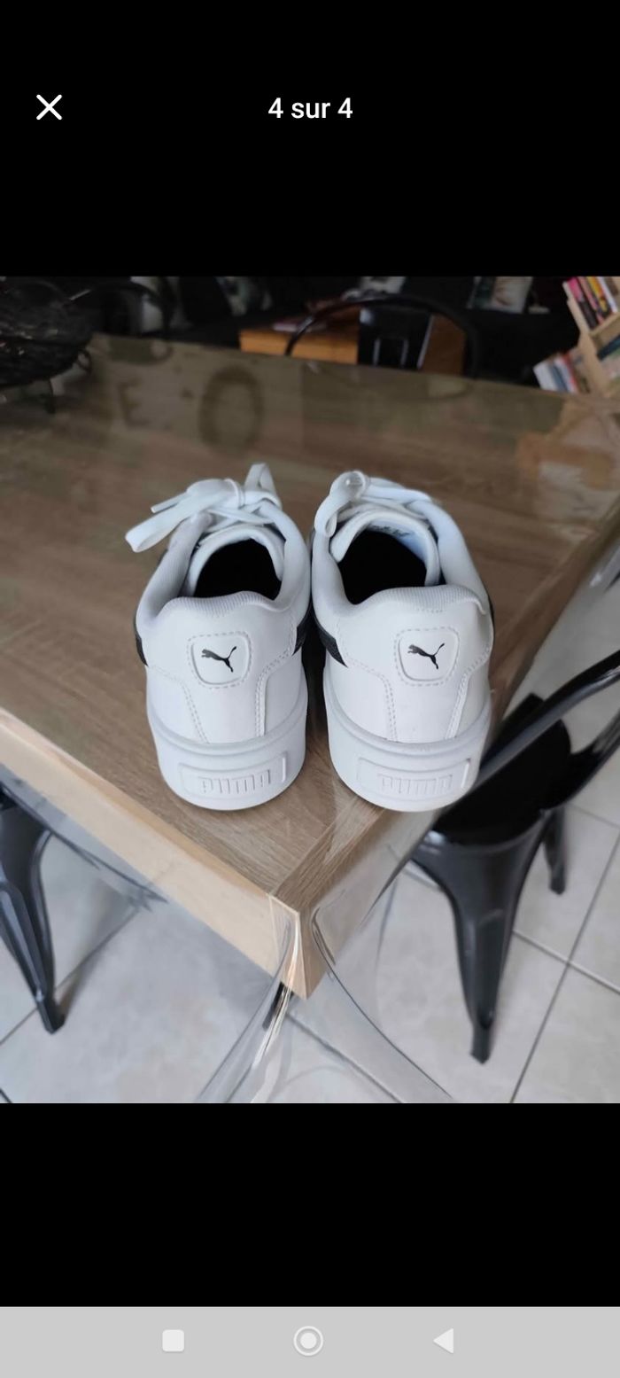 Puma - photo numéro 4