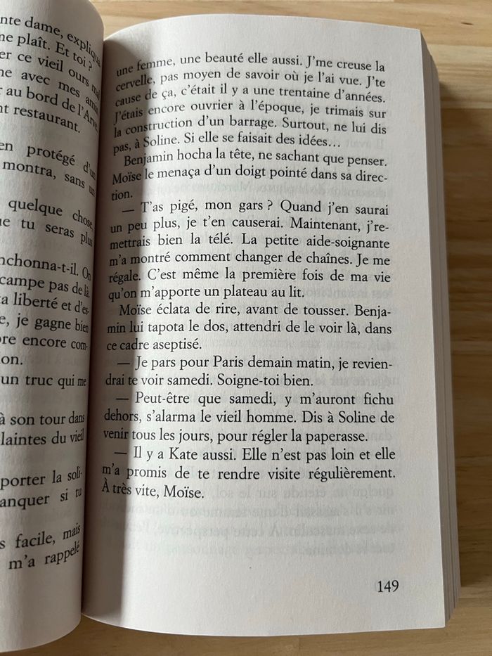 Livre Le Vallon des Loups – Marie-Bernadette Dupuy – Bon État - photo numéro 3