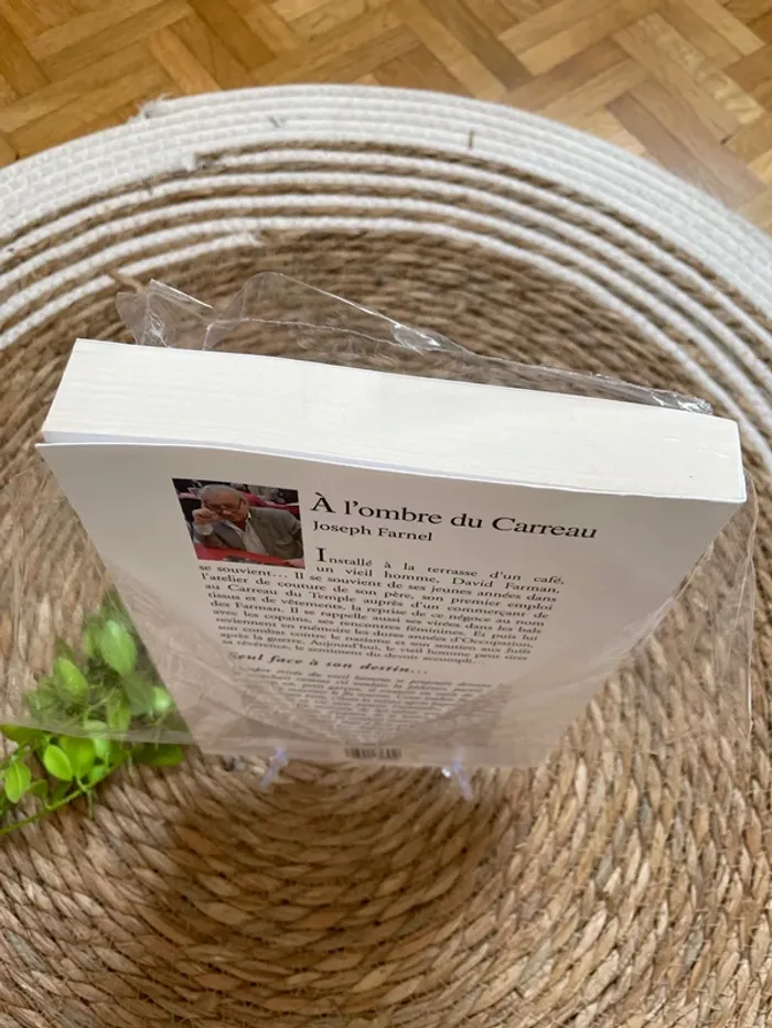 Livre - à l’ombre du carreau - photo numéro 3
