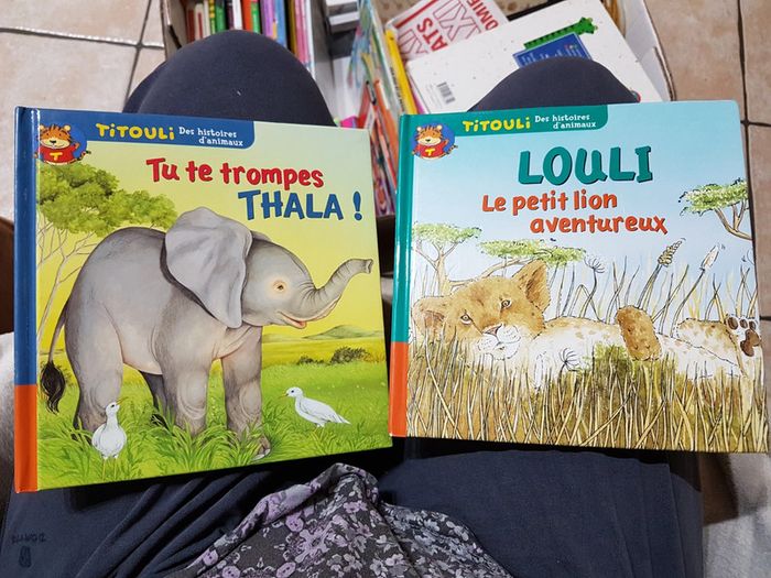 2 livres Titouli le petit lion et le petit éléphant - photo numéro 2