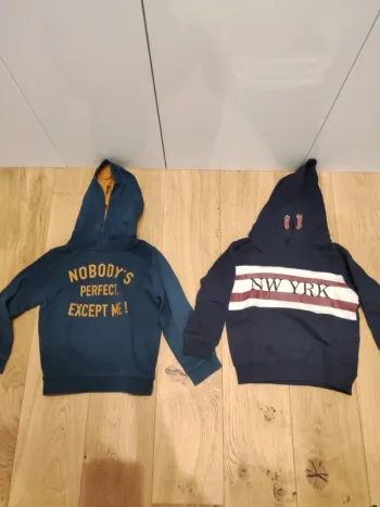Lot 2 sweats capuche - 5ans - très bon état
