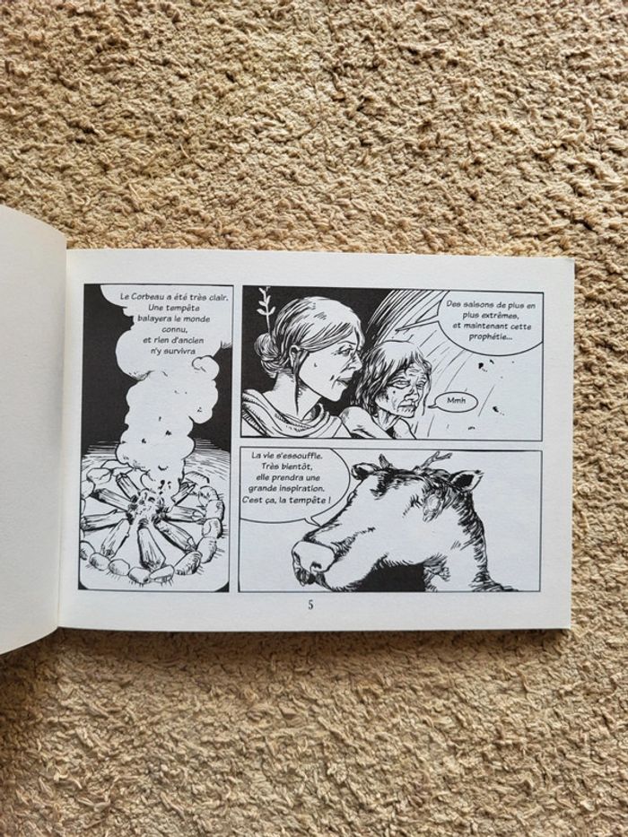 Lot de 2 BD Sathaden Tome 1 Le rite de passage et Tome 2 Le temple du corbeau - photo numéro 5