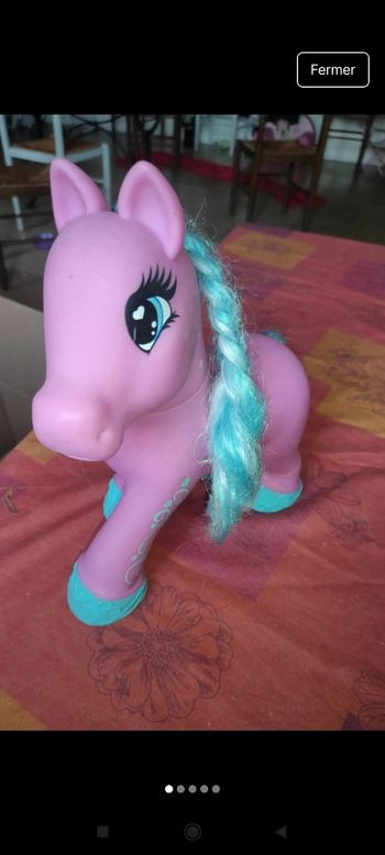 Grand petit poney 
J20