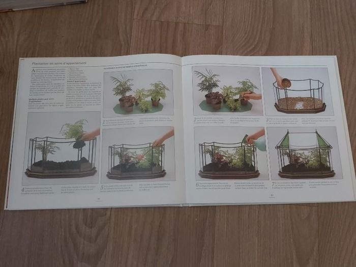 Plantes d'intérieur