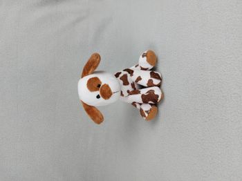 Petite Peluche doudou chien blanc taches marron WINDEL 16 cm cocard