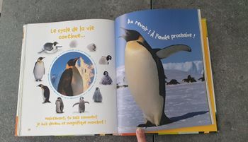 Ma première encyclopédie Larousse des bébés animaux
