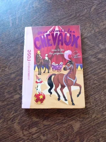 Mes amis les chevaux 9