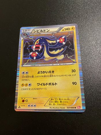 Pokemon Carte / Card Eelektross Rare Holo 027/066