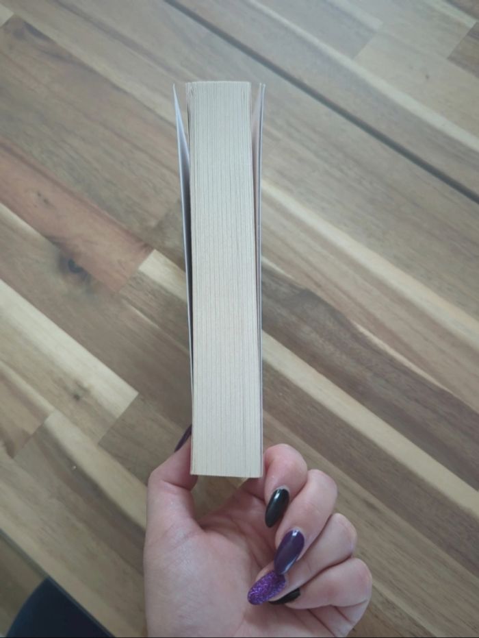 Something Wilder / Hugo roman / broché / Christina Lauren - photo numéro 4