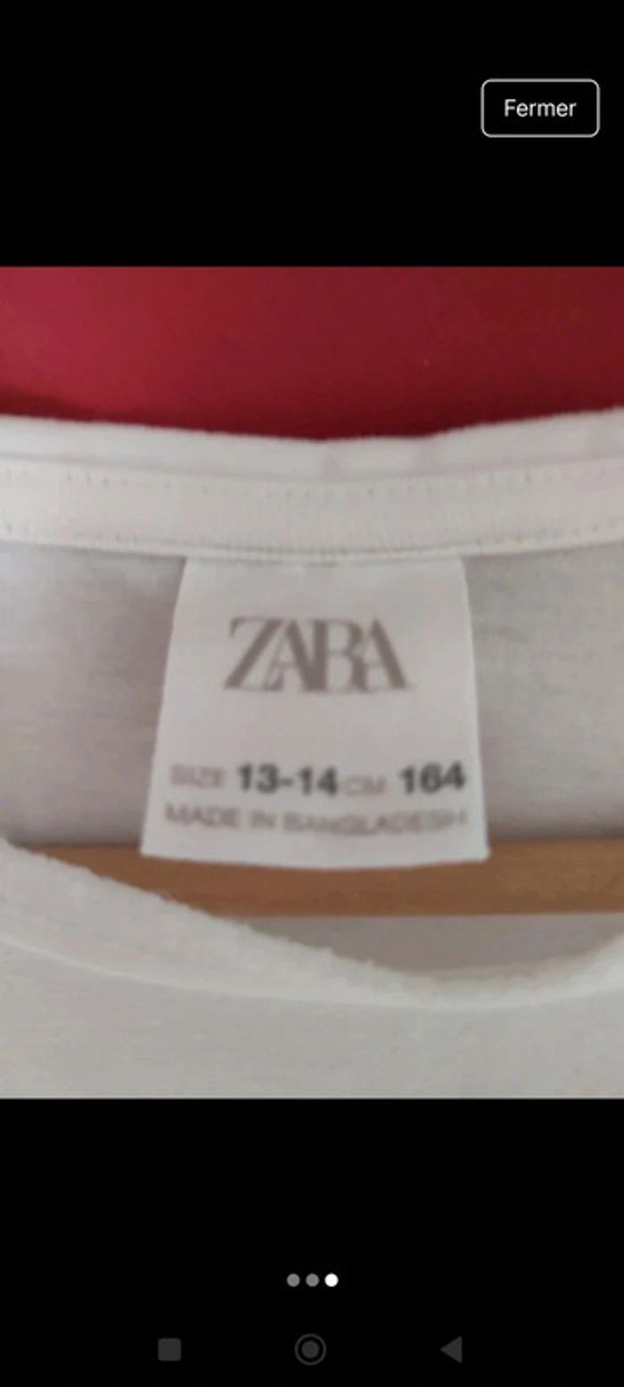 Tee shirt Zara - photo numéro 3