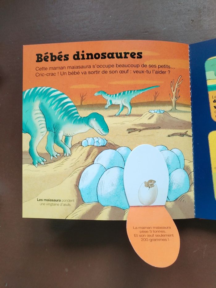 Kididoc les dinosaures - photo numéro 3