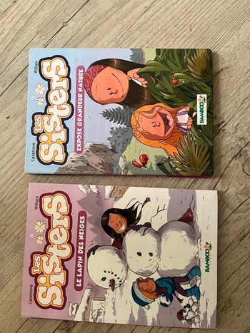 Lot de 2 tomes « Les sisters »