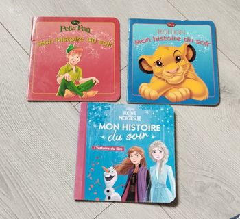 Lot de 3 livres mes histoires du soir Disney Peter pan, reine des neiges, roi lion 