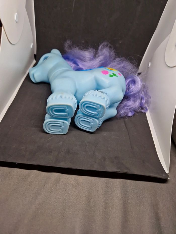 Poney - photo numéro 4