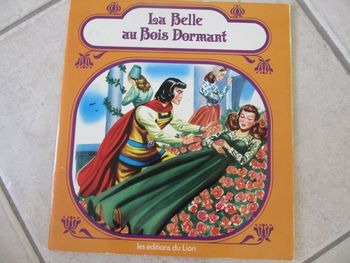 Livre enfant « La Belle au Bois Dormant »