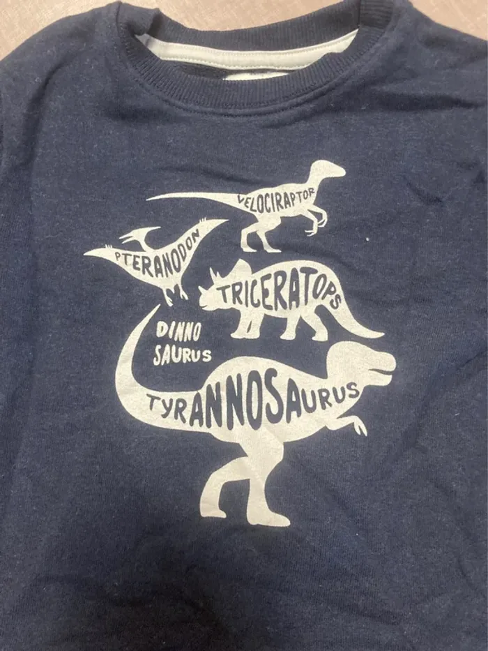 🦖 Sweat garçon Vertbaudet dinosaures – Taille 3 ans (94 cm) - photo numéro 2