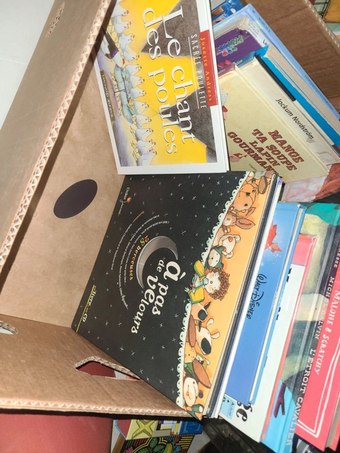 Gros lots de livre - photo numéro 8