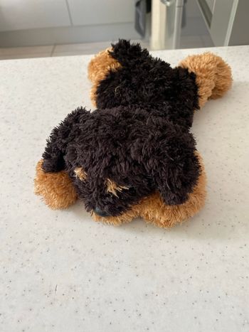 Peluche chien  24 cm