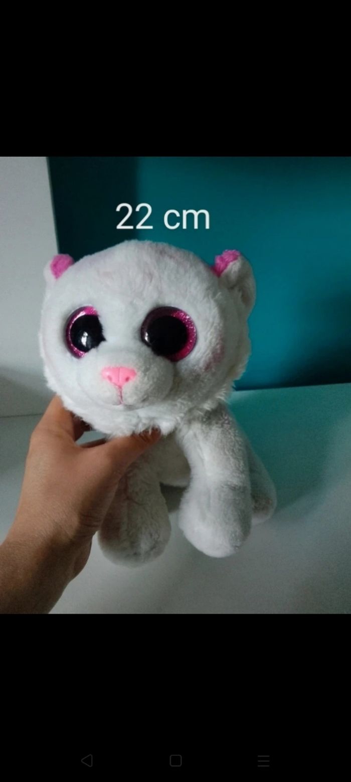 Tigre Ty