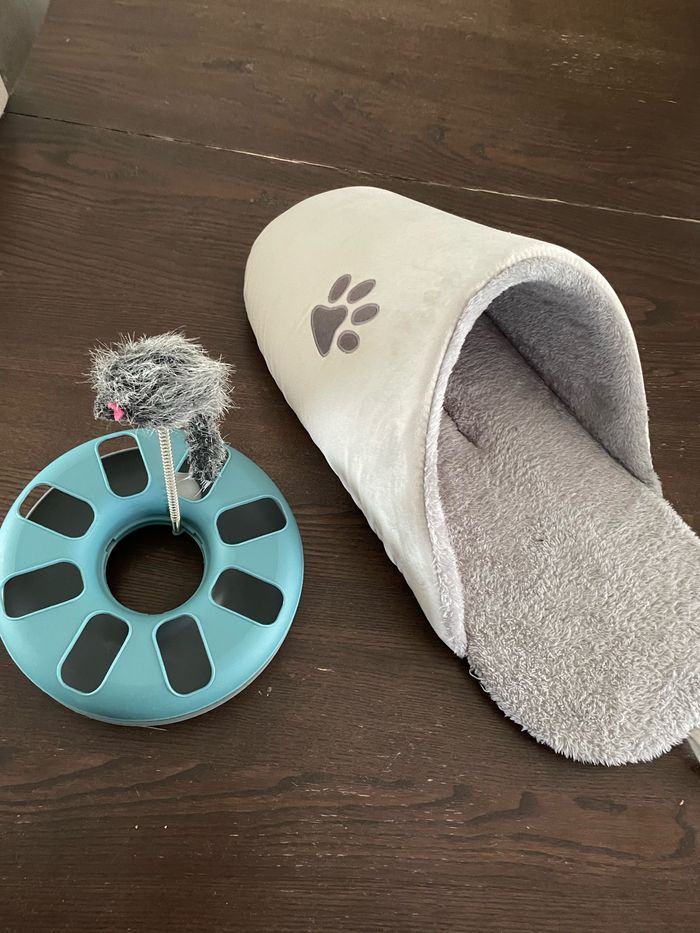 Accessoire pour chat