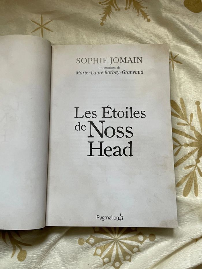 Livre illustré « Les étoiles de Noss Head - Vertige » Tome 1 - photo numéro 3