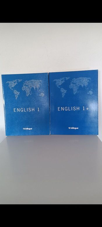 Lot de livres d'exercices d'anglais