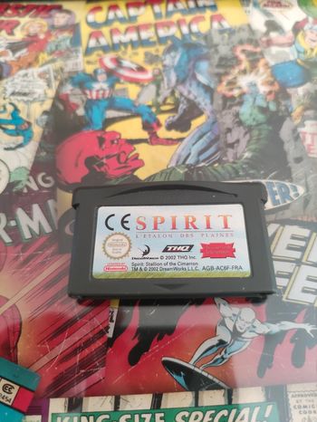 Spirit l'étalon des plaines Game Boy Advance