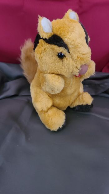 peluche écureuil