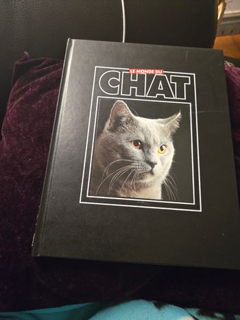 Le monde du chat n°6