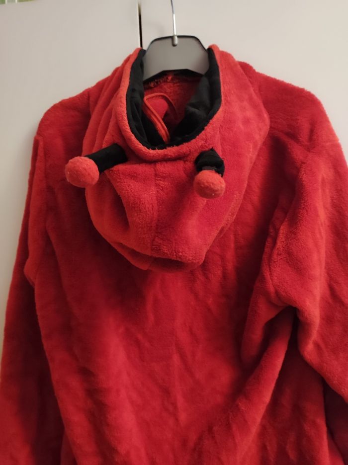 Pull forme coccinelle 🐞 5 ans - photo numéro 9