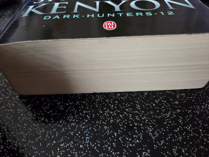 Livre de poche dark hunters tome 12 - photo numéro 4