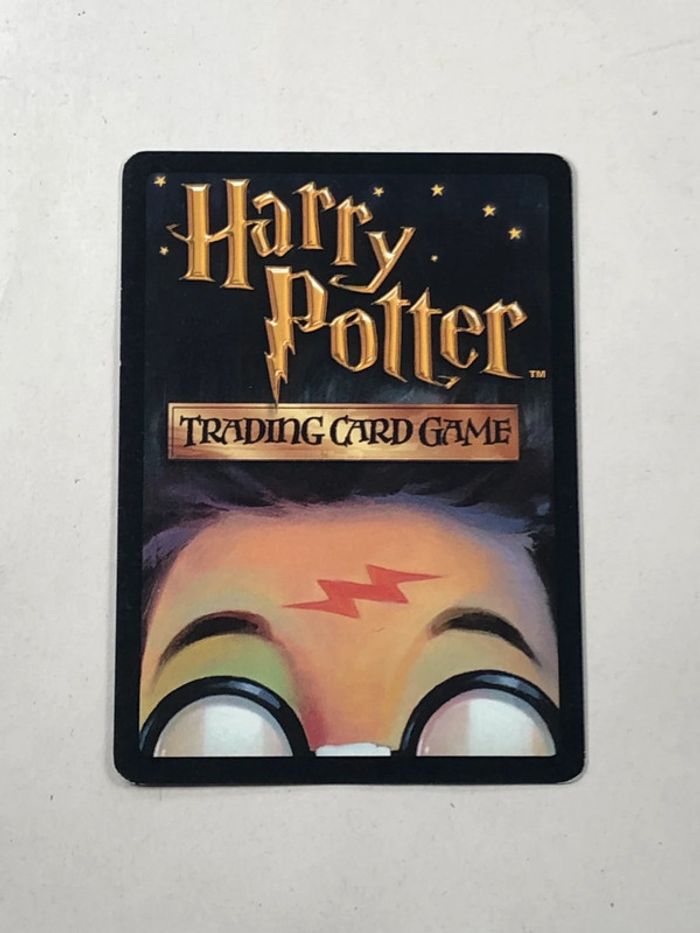 Soin aux créatures magiques carte Harry potter - photo numéro 2