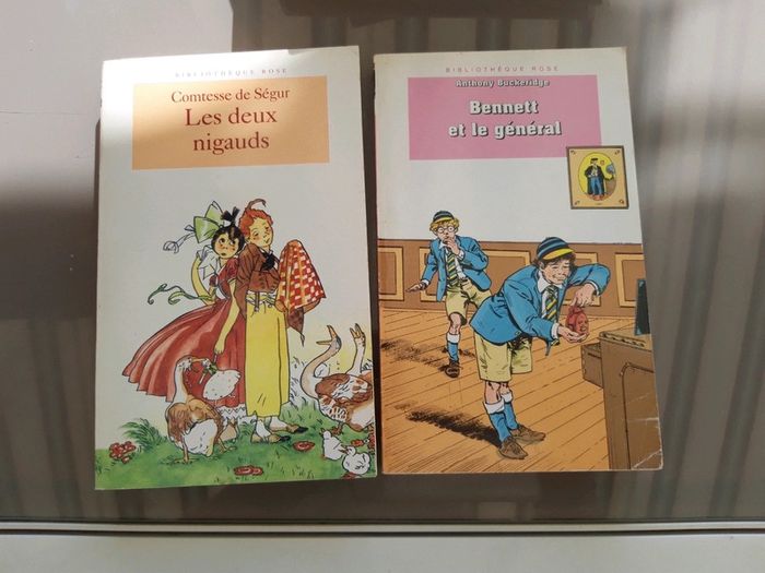 Livres Bennett et le général et les 2 nigauds