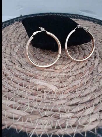 Boucles  D'oreilles  créoles F3