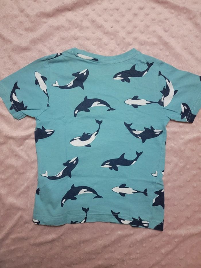 Tee-shirt baleine/requins 6ans, 116cm - photo numéro 4